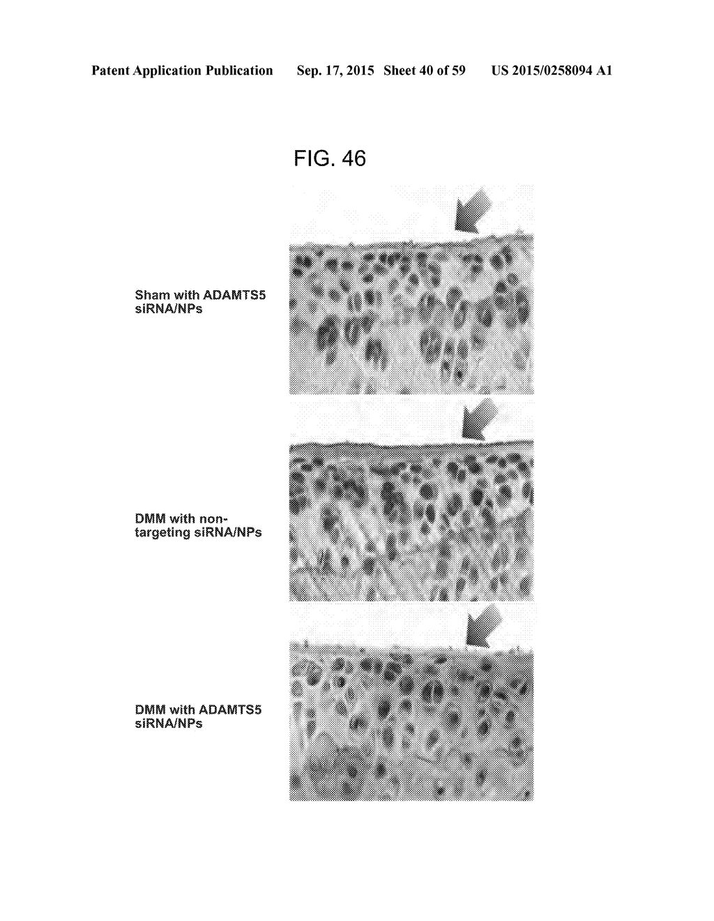 Nanocarriers And Their Processing For Diagnostics And Therapeutics - diagram, schematic, and image 41