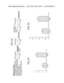 Nanocarriers And Their Processing For Diagnostics And Therapeutics diagram and image