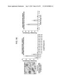 Nanocarriers And Their Processing For Diagnostics And Therapeutics diagram and image