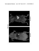 Nanocarriers And Their Processing For Diagnostics And Therapeutics diagram and image