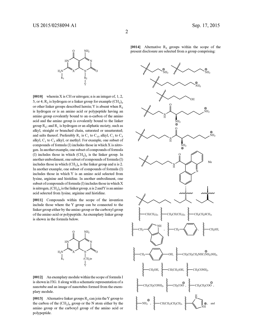 Nanocarriers And Their Processing For Diagnostics And Therapeutics - diagram, schematic, and image 62