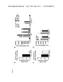 METHODS AND COMPOSITIONS FOR TREATMENT OF TH2-MEDIATED AND TH17-MEDIATED     DISEASES diagram and image