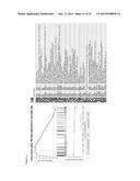 METHODS AND COMPOSITIONS FOR TREATMENT OF TH2-MEDIATED AND TH17-MEDIATED     DISEASES diagram and image