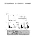 METHODS AND COMPOSITIONS FOR TREATMENT OF TH2-MEDIATED AND TH17-MEDIATED     DISEASES diagram and image