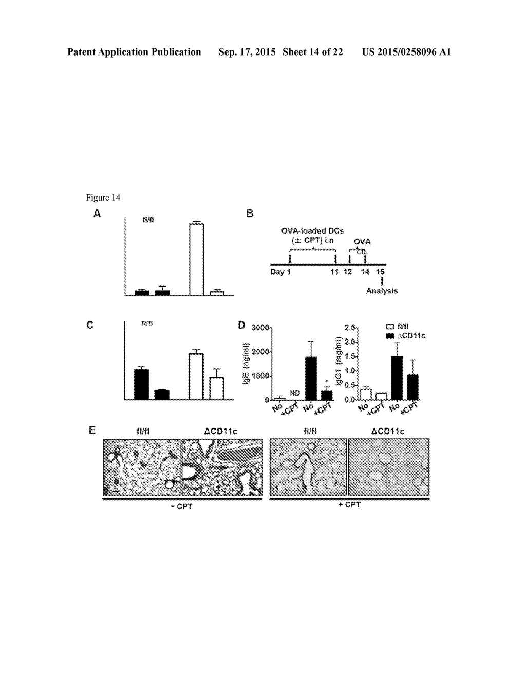 METHODS AND COMPOSITIONS FOR TREATMENT OF TH2-MEDIATED AND TH17-MEDIATED     DISEASES - diagram, schematic, and image 15