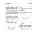 USE OF NORIBOGAINE FOR THE TREATMENT OF PAIN diagram and image