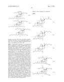 ANTI-INFECTIVE AND OSTEOGENIC COMPOSITIONS AND METHODS OF USE diagram and image