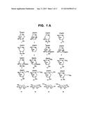 Method for Increasing the Activity of Lysosomal Enzymes diagram and image