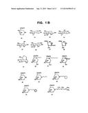 Method for Increasing the Activity of Lysosomal Enzymes diagram and image