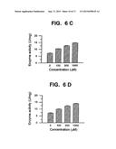 Method for Increasing the Activity of Lysosomal Enzymes diagram and image