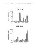 Method for Increasing the Activity of Lysosomal Enzymes diagram and image