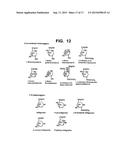 Method for Increasing the Activity of Lysosomal Enzymes diagram and image