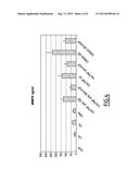 PHARMACEUTICAL COMPOSITION FOR THE TREATMENT OF ORTHOPEDIC PATHOLOGIES diagram and image