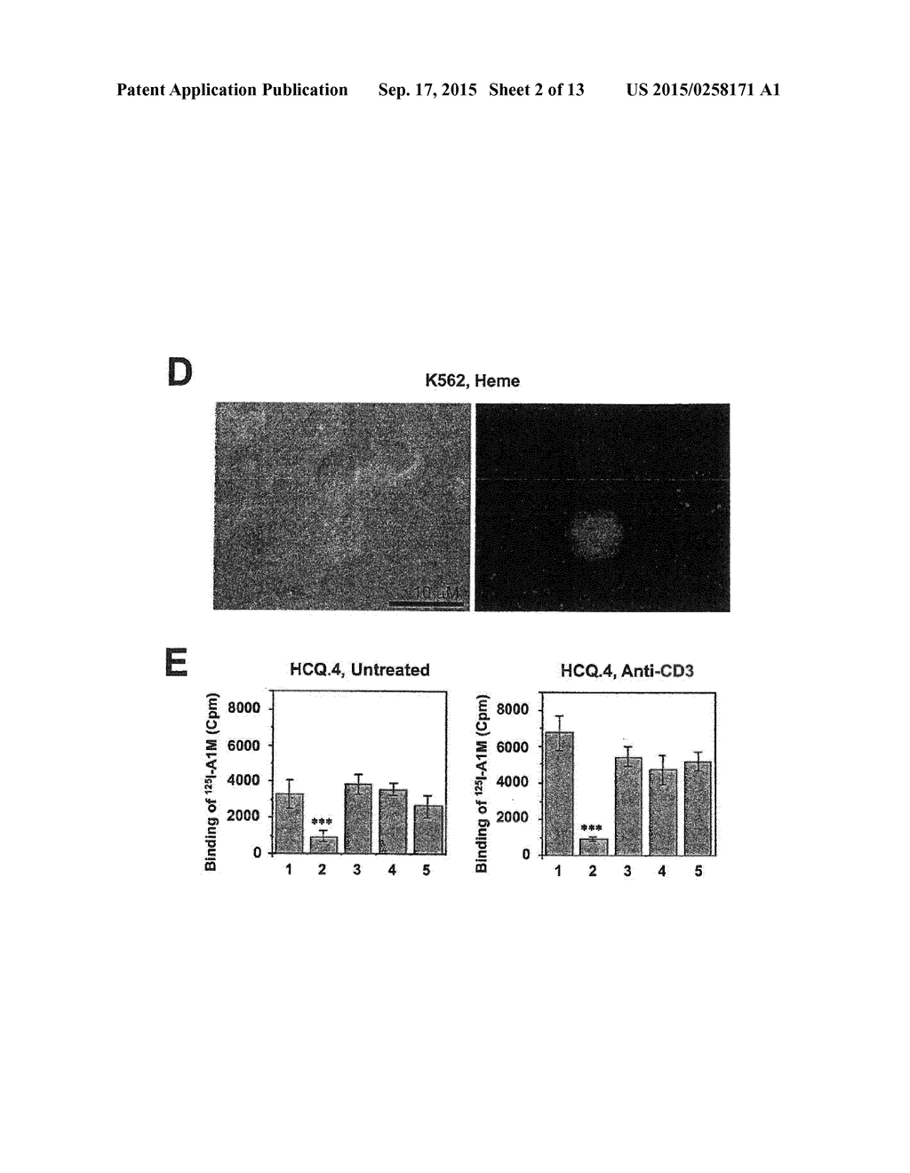 ALPHA-1-MICROGLOBULIN FOR USE IN THE TREATMENT OF MITOCHONDRIA-RELATED     DISEASES - diagram, schematic, and image 03