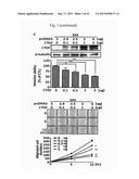 COMPOSITIONS FOR MODULATING INVASION ABILITY OF A TUMOR AND METHODS     THEREOF diagram and image