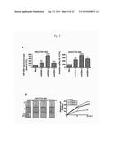 COMPOSITIONS FOR MODULATING INVASION ABILITY OF A TUMOR AND METHODS     THEREOF diagram and image