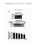 COMPOSITIONS FOR MODULATING INVASION ABILITY OF A TUMOR AND METHODS     THEREOF diagram and image