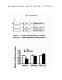 COMPOSITIONS FOR MODULATING INVASION ABILITY OF A TUMOR AND METHODS     THEREOF diagram and image