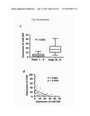 COMPOSITIONS FOR MODULATING INVASION ABILITY OF A TUMOR AND METHODS     THEREOF diagram and image