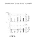 RNA WITH A COMBINATION OF UNMODIFIED AND MODIFIED NUCLEOTIDES FOR PROTEIN     EXPRESSION diagram and image