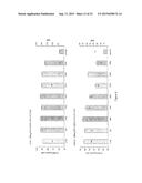 RNA WITH A COMBINATION OF UNMODIFIED AND MODIFIED NUCLEOTIDES FOR PROTEIN     EXPRESSION diagram and image