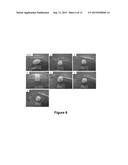 PRESSURE-SENSITIVE HYDROGEL AND METHOD OF USE diagram and image