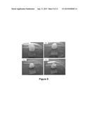 PRESSURE-SENSITIVE HYDROGEL AND METHOD OF USE diagram and image