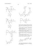 DRUG DELIVERY CONJUGATES CONTAINING UNNATURAL AMINO ACIDS AND METHODS FOR     USING diagram and image