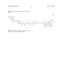 DRUG DELIVERY CONJUGATES CONTAINING UNNATURAL AMINO ACIDS AND METHODS FOR     USING diagram and image