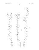 DRUG DELIVERY CONJUGATES CONTAINING UNNATURAL AMINO ACIDS AND METHODS FOR     USING diagram and image