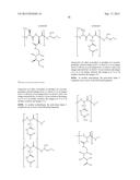 DRUG DELIVERY CONJUGATES CONTAINING UNNATURAL AMINO ACIDS AND METHODS FOR     USING diagram and image