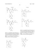 DRUG DELIVERY CONJUGATES CONTAINING UNNATURAL AMINO ACIDS AND METHODS FOR     USING diagram and image