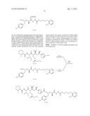 DRUG DELIVERY CONJUGATES CONTAINING UNNATURAL AMINO ACIDS AND METHODS FOR     USING diagram and image