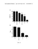 HYDROGELS FOR DELIVERY OF THERAPEUTIC POLYPEPTIDES diagram and image