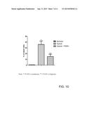 Method for the Treatment of Ischemic Stroke by Applying an Electromagnetic     Field diagram and image