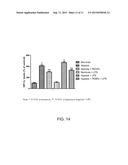 Method for the Treatment of Ischemic Stroke by Applying an Electromagnetic     Field diagram and image