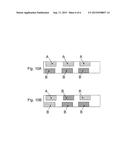 OPTICALLY VARIABLE SECURITY THREADS AND STRIPES diagram and image