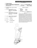 INVERTED VEHICLE AND ITS CONTROL METHOD diagram and image