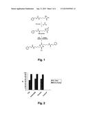 FORMATION OF N-PROTECTED BIS-3,6- (4-AMINOBUTYL) -2, 5-DIKETOPIPERAZINE     THROUGH A CYCLIC ALPHA-N-PROTECTED AMINO ESTER diagram and image