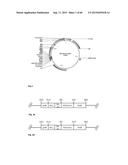 MICROTUBULE-MODIFYING COMPOUND diagram and image