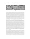 MICROTUBULE-MODIFYING COMPOUND diagram and image