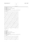 HER2- AND VEGF-A-BINDING PROTEINS WITH ENHANCED STABILITY diagram and image