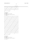 HER2- AND VEGF-A-BINDING PROTEINS WITH ENHANCED STABILITY diagram and image