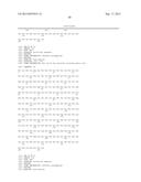 HER2- AND VEGF-A-BINDING PROTEINS WITH ENHANCED STABILITY diagram and image