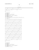 HER2- AND VEGF-A-BINDING PROTEINS WITH ENHANCED STABILITY diagram and image