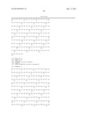 HER2- AND VEGF-A-BINDING PROTEINS WITH ENHANCED STABILITY diagram and image