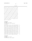 HER2- AND VEGF-A-BINDING PROTEINS WITH ENHANCED STABILITY diagram and image