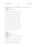 HER2- AND VEGF-A-BINDING PROTEINS WITH ENHANCED STABILITY diagram and image