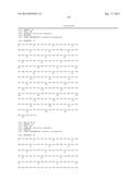 HER2- AND VEGF-A-BINDING PROTEINS WITH ENHANCED STABILITY diagram and image