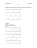 HER2- AND VEGF-A-BINDING PROTEINS WITH ENHANCED STABILITY diagram and image